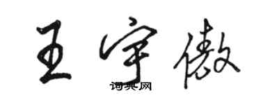 骆恒光王宇傲行书个性签名怎么写