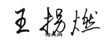骆恒光王拐燃行书个性签名怎么写
