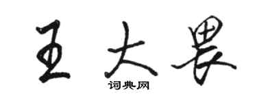 骆恒光王大畏行书个性签名怎么写