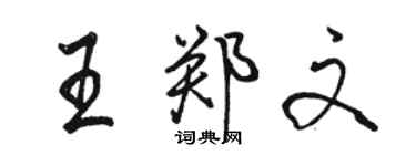 骆恒光王郑文行书个性签名怎么写