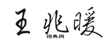骆恒光王兆暖行书个性签名怎么写