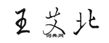 骆恒光王艾北行书个性签名怎么写