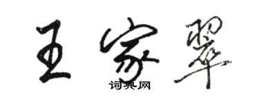 骆恒光王家翠行书个性签名怎么写