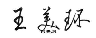 骆恒光王美环行书个性签名怎么写