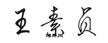骆恒光王素贞行书个性签名怎么写