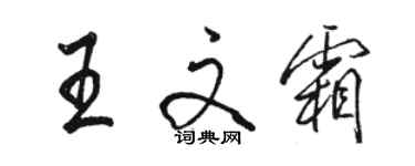 骆恒光王文霜行书个性签名怎么写