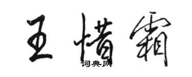骆恒光王惜霜行书个性签名怎么写