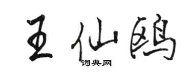 骆恒光王仙鸥行书个性签名怎么写