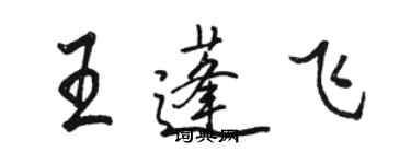 骆恒光王蓬飞行书个性签名怎么写