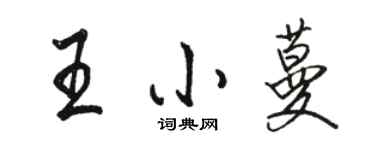 骆恒光王小蔓行书个性签名怎么写