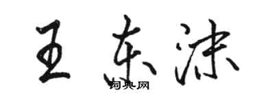 骆恒光王东沫行书个性签名怎么写