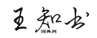 骆恒光王知书行书个性签名怎么写