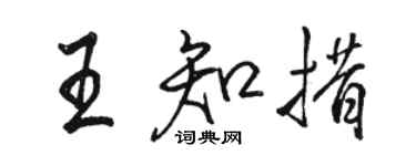骆恒光王知措行书个性签名怎么写