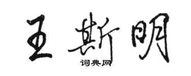 骆恒光王斯明行书个性签名怎么写