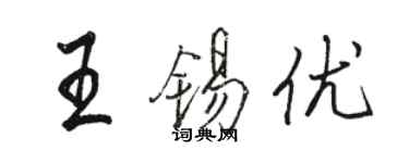 骆恒光王锡优行书个性签名怎么写