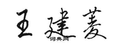 骆恒光王建菱行书个性签名怎么写