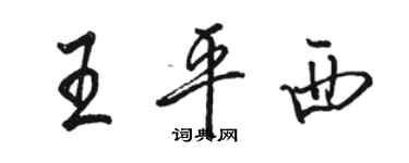 骆恒光王平西行书个性签名怎么写