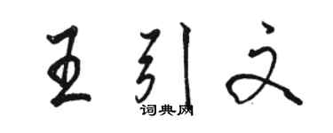 骆恒光王引文行书个性签名怎么写
