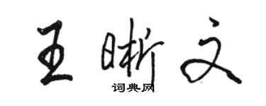 骆恒光王晰文行书个性签名怎么写