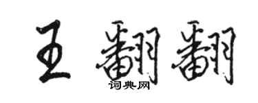 骆恒光王翻翻行书个性签名怎么写