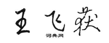 骆恒光王飞获行书个性签名怎么写