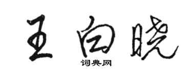 骆恒光王白晓行书个性签名怎么写