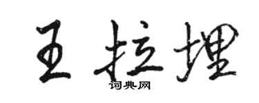 骆恒光王拉埋行书个性签名怎么写
