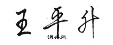 骆恒光王平升行书个性签名怎么写