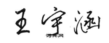 骆恒光王宇涵行书个性签名怎么写