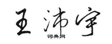 骆恒光王沛宇行书个性签名怎么写