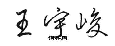 骆恒光王宇峻行书个性签名怎么写