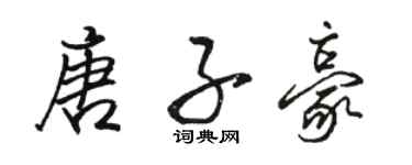 骆恒光唐子豪行书个性签名怎么写