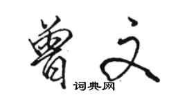 骆恒光曾文行书个性签名怎么写
