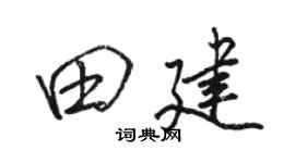 骆恒光田建行书个性签名怎么写
