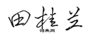 骆恒光田桂兰行书个性签名怎么写