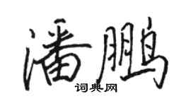 骆恒光潘鹏行书个性签名怎么写