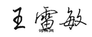 骆恒光王雷敏行书个性签名怎么写