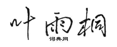 骆恒光叶雨桐行书个性签名怎么写