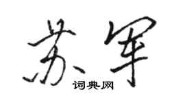 骆恒光苏军行书个性签名怎么写