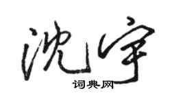骆恒光沈宇行书个性签名怎么写