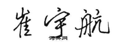 骆恒光崔宇航行书个性签名怎么写