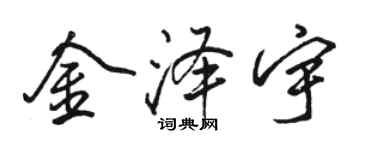 骆恒光金泽宇行书个性签名怎么写