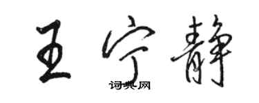 骆恒光王宁静行书个性签名怎么写