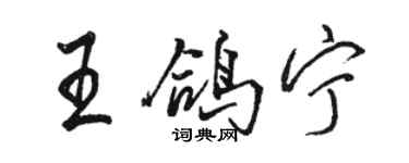 骆恒光王鸽宁行书个性签名怎么写