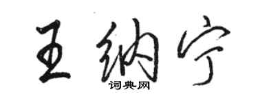 骆恒光王纳宁行书个性签名怎么写