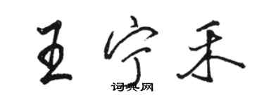 骆恒光王宁禾行书个性签名怎么写