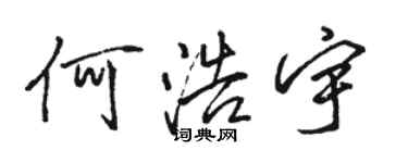 骆恒光何浩宇行书个性签名怎么写
