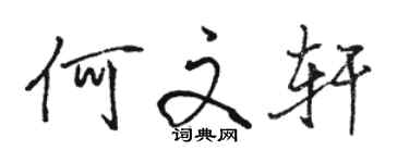 骆恒光何文轩行书个性签名怎么写