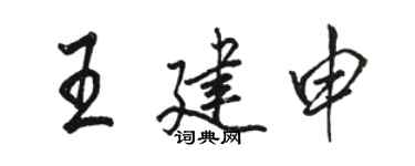 骆恒光王建申行书个性签名怎么写