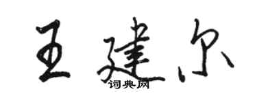 骆恒光王建尔行书个性签名怎么写